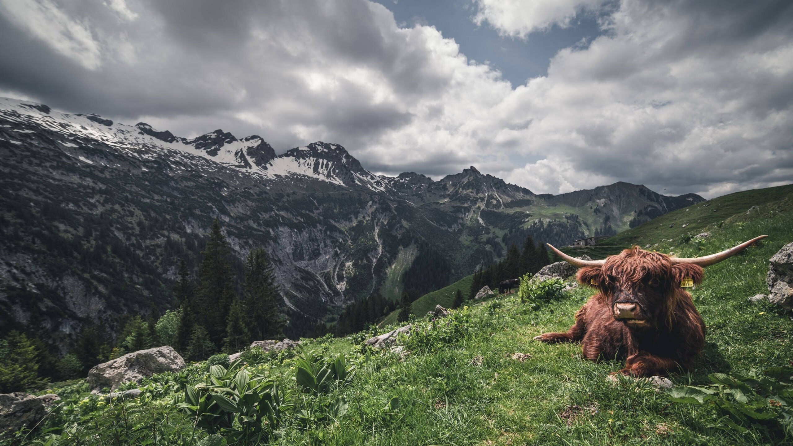 “英超焦点:转折瞬间决定胜负走向”,英超转会期截止