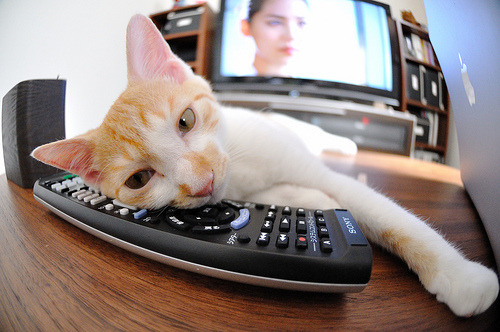 开云体育官方-“西甲赛事精彩不断，明星球员表现抢眼”，西甲知名球员