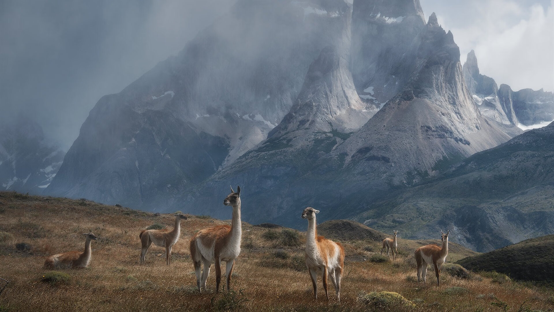 开云网页-“英超赛季渐入佳境，豪门各显神通”，英超赛季前瞻