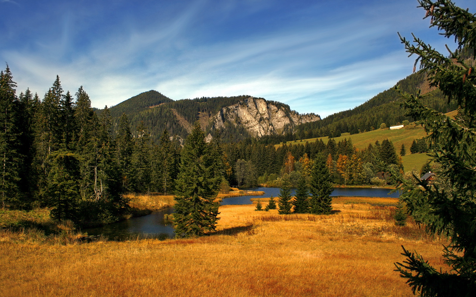 “西部冠军悬念升级,几支队伍争夺激烈”,西部冠军角色