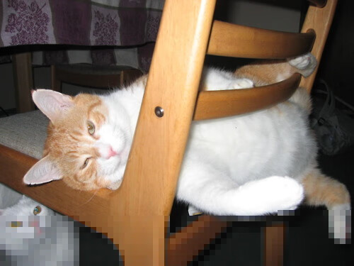 亚特兰大1-1平佛罗伦萨,乌姆蒂蒂扳平比分,意甲亚特兰大vs佛罗伦萨